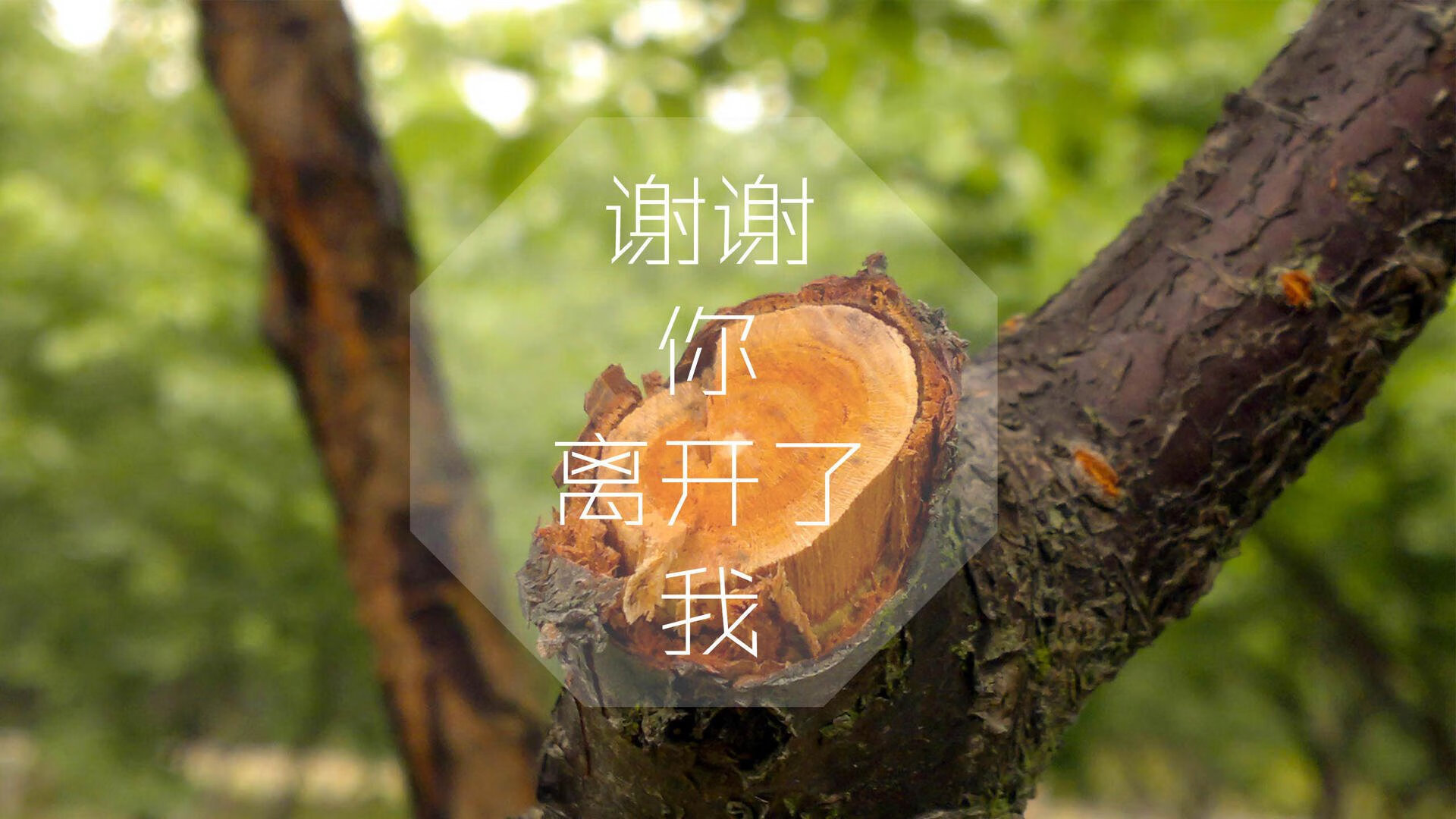 b体育平台-四国冰球对抗赛在波士顿和蒙特利尔成功举办，冰球比赛美国