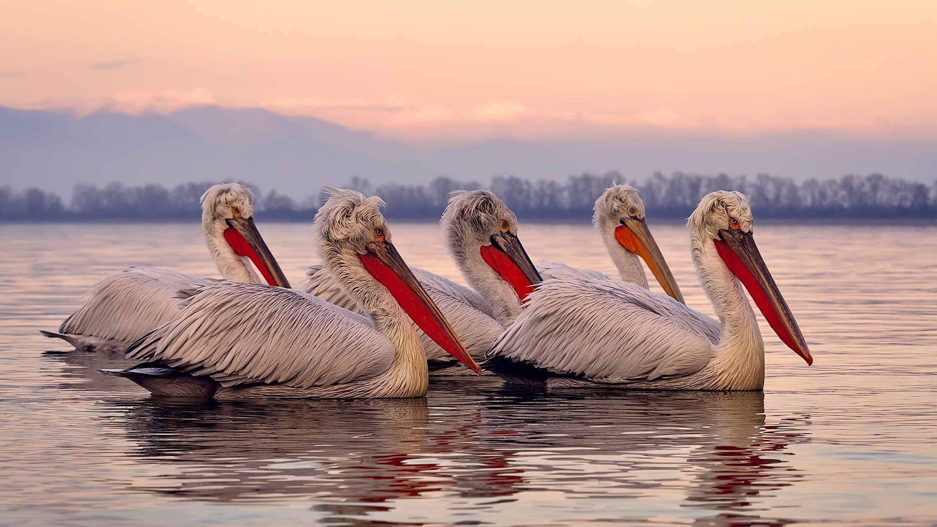 曼联新援贡献神级助攻,引领球队走出低谷,曼联 新援