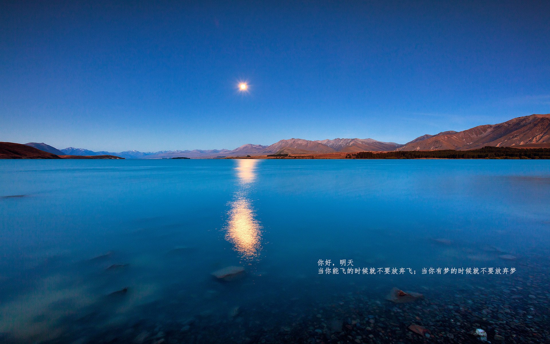 b体育app-法甲关键瞬间，专家解读战术执行细节背后的战局博弈，法甲技术特点