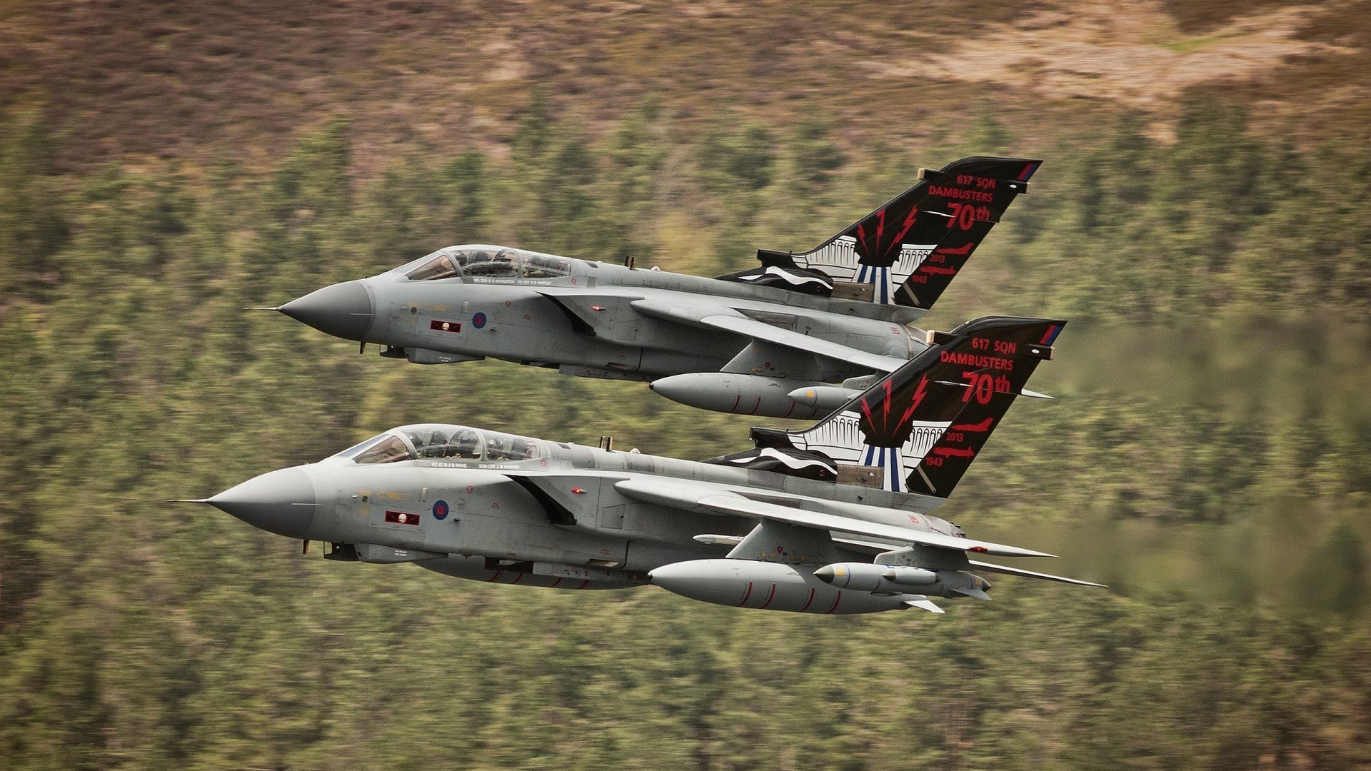 球员专访:明星球员的成长故事与生涯展望,球星现状