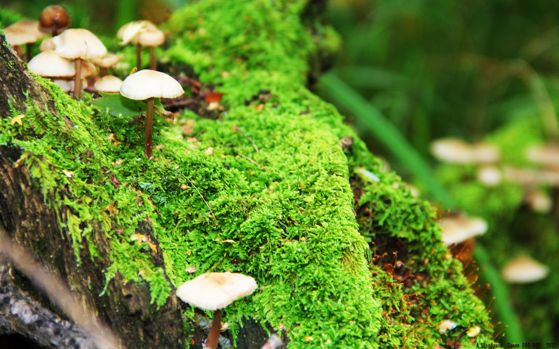 b体育官方网站-篮球世界杯预选赛中国队精彩表现获关注，篮球世界杯预选赛分组