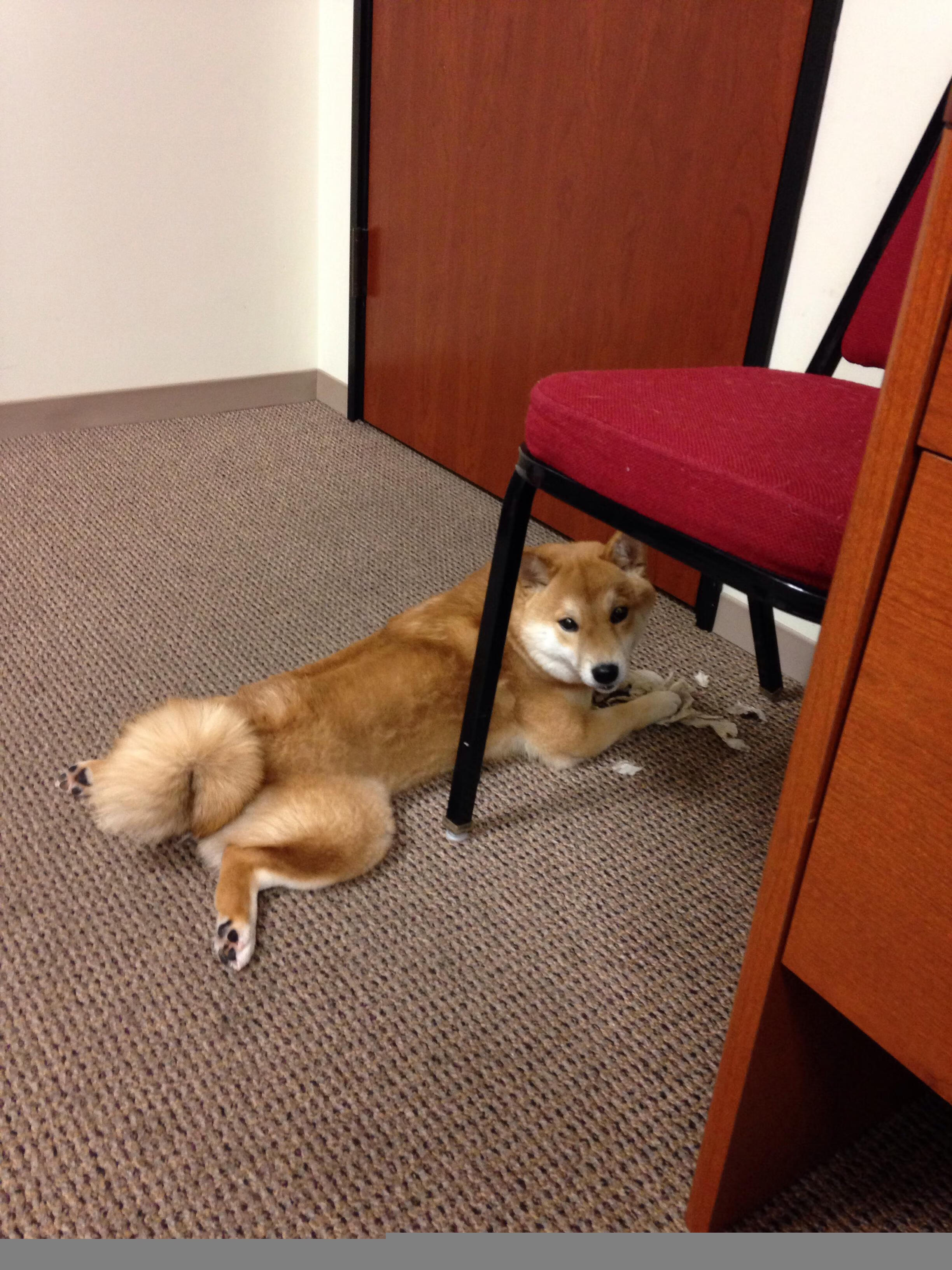 b体育网页版登录入口-英格兰主帅：这一代球员值得尊敬，英格兰主帅_这一代球员值得尊敬吗