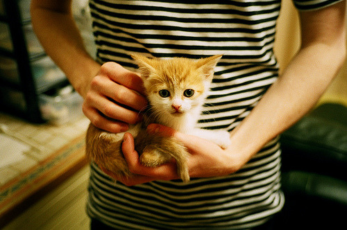 弗赖堡实现逆转,赢得关键比赛胜利,弗赖堡市