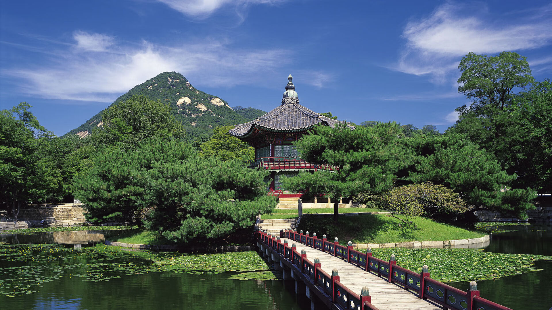 b体育电竞-是否应设立官方战术数据库供基层教练研究