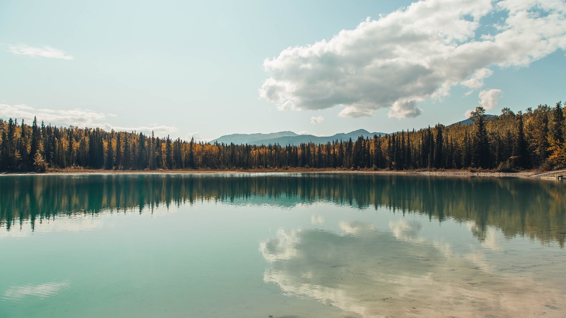 是否应设立球员成长奖励基金，是否应设立球员成长奖励基金项目