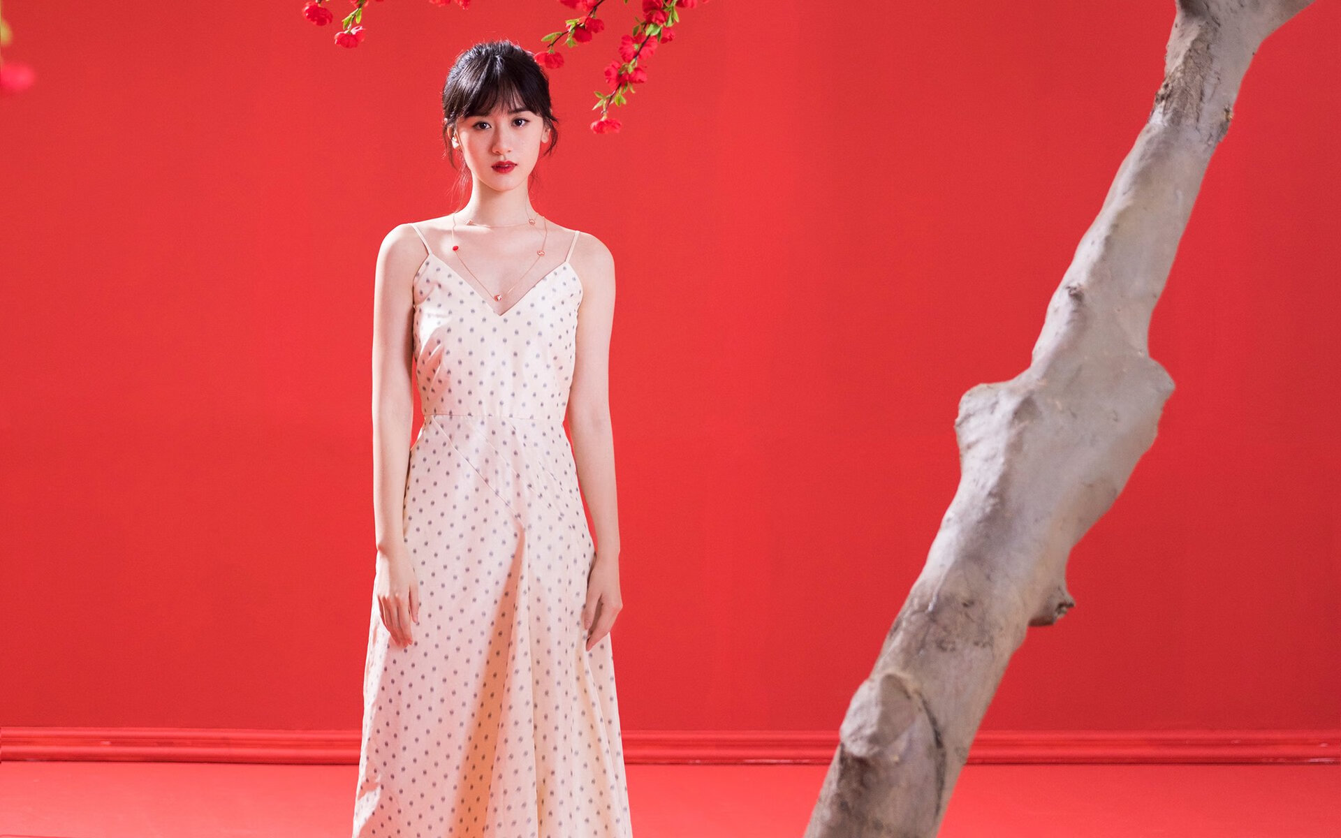 波切蒂诺重返南安普顿,能否带领球队重返胜利轨道?,波切蒂诺官宣