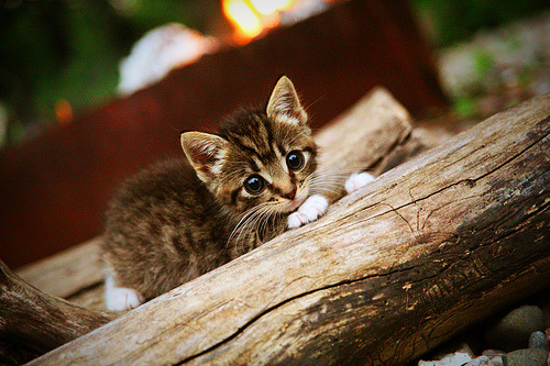 英格兰男足时隔多年重返奥运舞台,英格兰男足奥运会