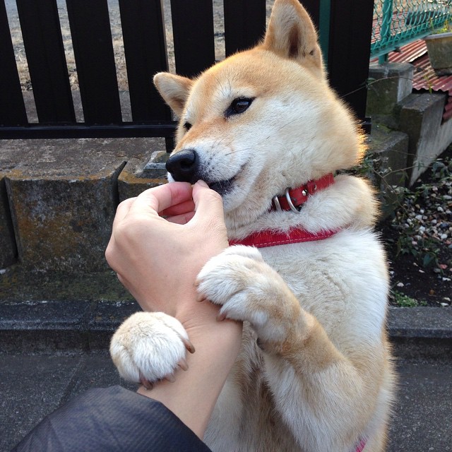 阿根廷1-0战胜巴西,锁定巴黎奥运会资格,阿根廷击败巴西