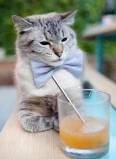 C罗加冕欧洲杯历史射手王,c罗加冕欧洲杯历史射手王是谁