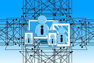 b体育网页版登录入口-NBA联盟裁判执法技术辅助研究，nba职业篮球裁判证