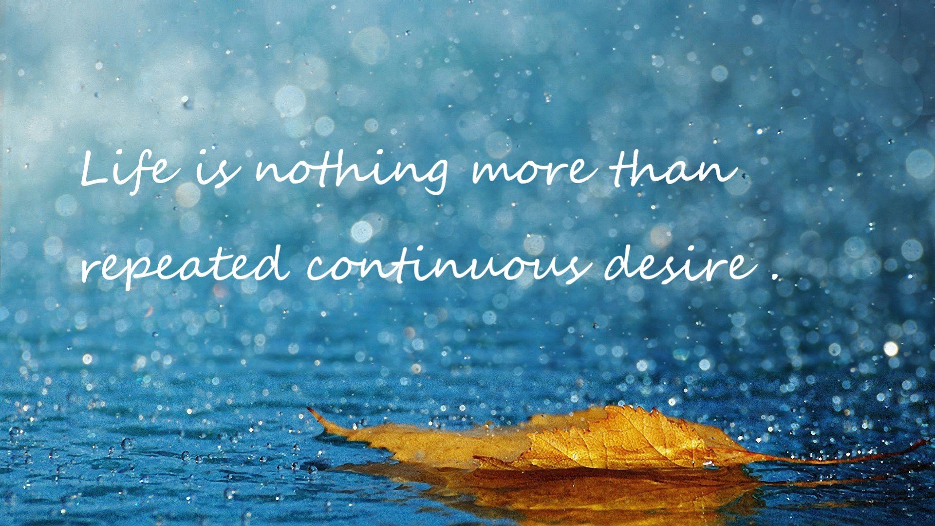 世界攀爬锦标赛中国初次参赛获好评,攀岩 世锦赛