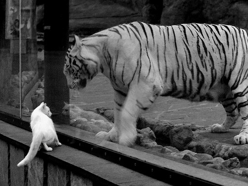 体育培训市场收费标准监管机制探讨,体育培训费属于哪一个科目