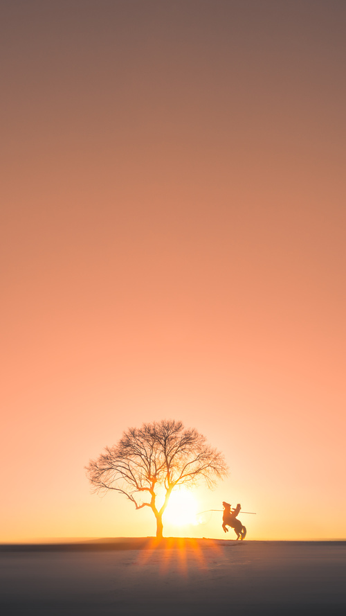 体育培训市场收费标准监管机制探讨,体育培训费属于哪一个科目