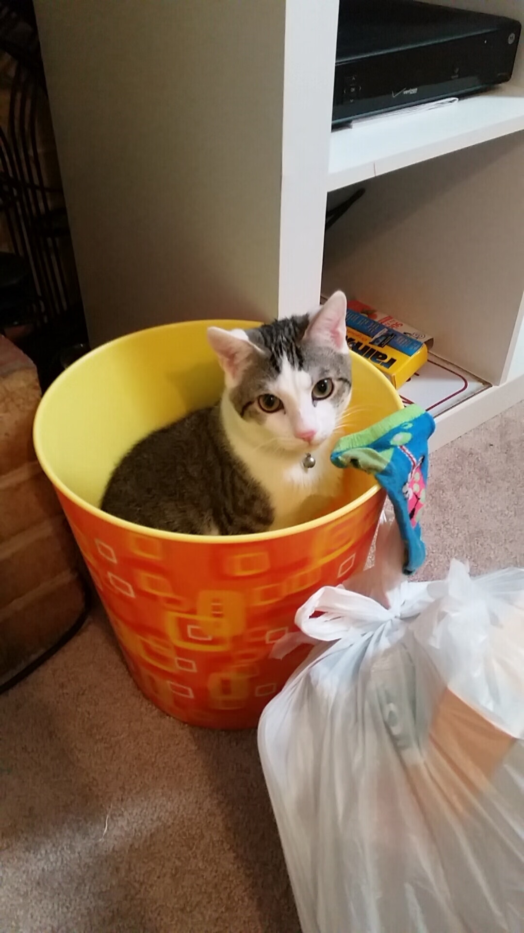 体育网络舆情监测与应对机制研究