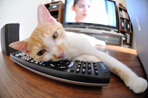 体育赛事转播权分配机制与商业价值分析研究,体育赛事转播权侵权案例