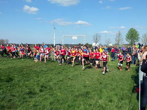 B 体育官网-青少年体育锻炼促进策略与实践，青少年体育锻炼方案