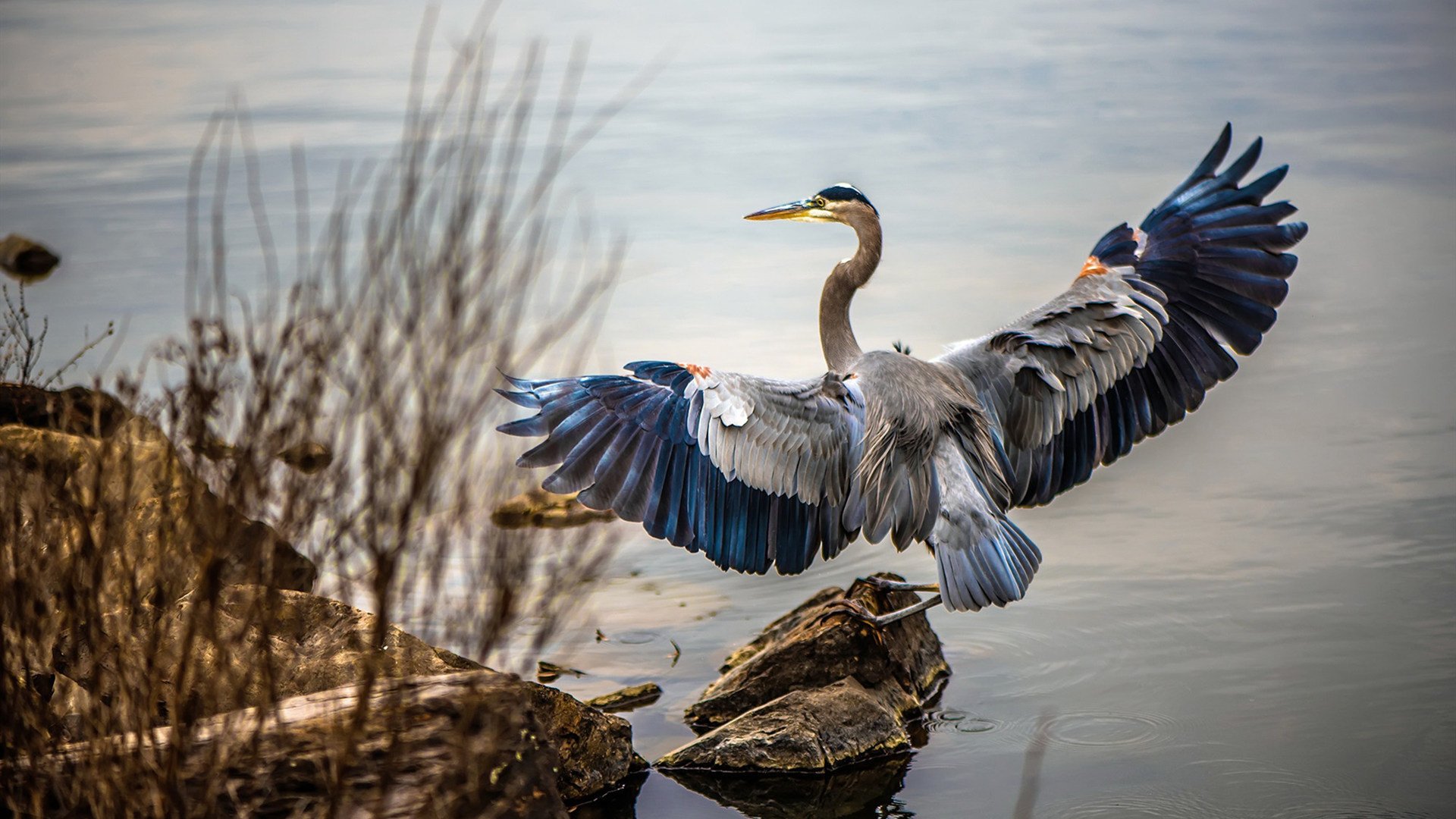 体育新闻中心主办体育文化数字创新研讨会,数字体育项目