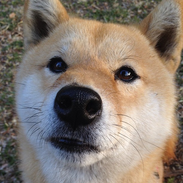 哈登表示愿意承担组织与得分双重责任,哈登合同有没有球员选项