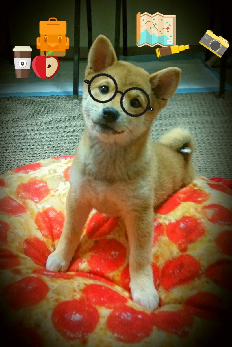 BSPORT APP-掘金本赛季助攻次数排名联盟前三，2021掘金队