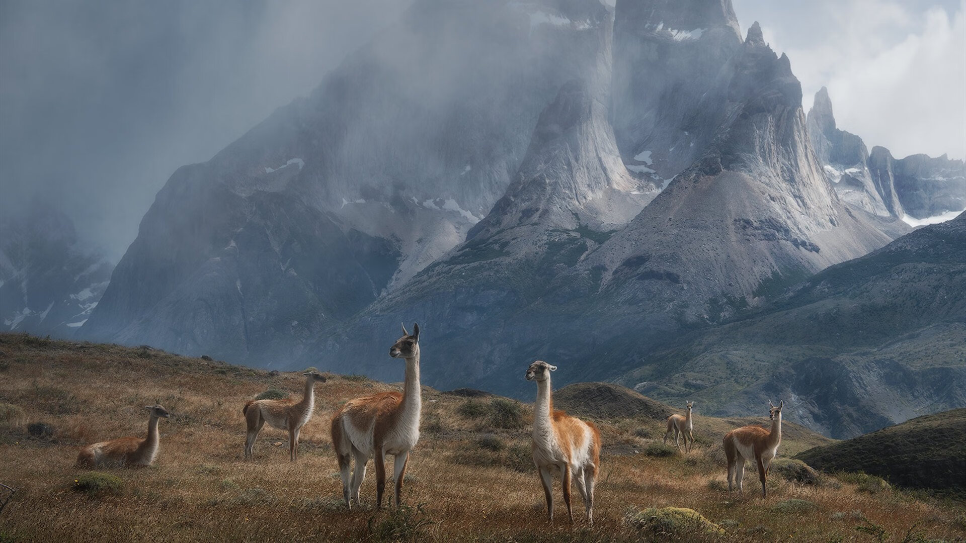 B体育亚洲官方网站-莫伊：凭借无与伦比的防守能力和scrum控制，成为全黑队强大的攻防利器